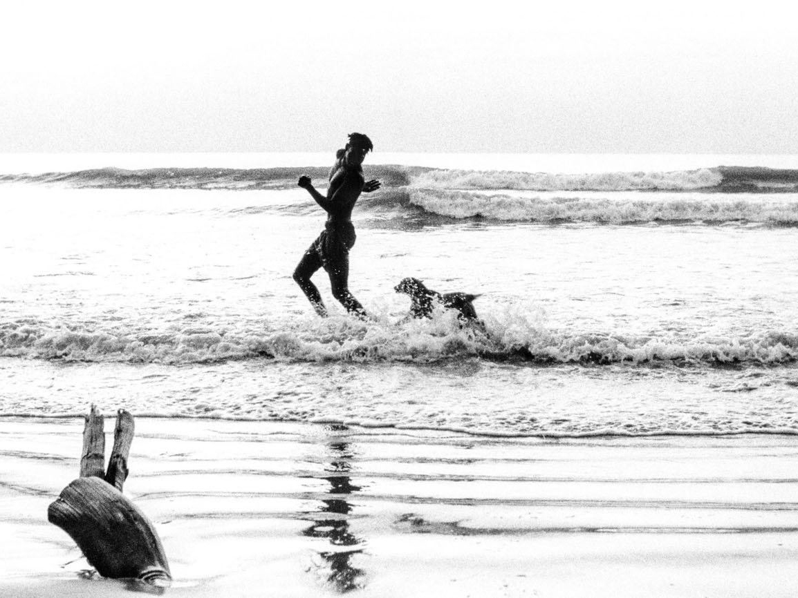 A child runs through breaking waves at the shore with a dog leaping beside them, silhouetted against the bright sea, a piece of driftwood in the foreground