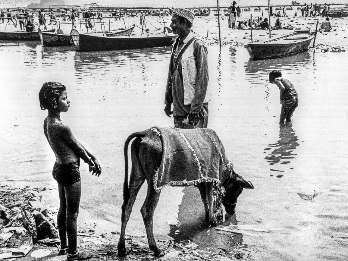A man stands beside a cow draped in a blanket at the water's edge, a boy watching from the side and another figure wading in the shallow river, boats lined up behind them