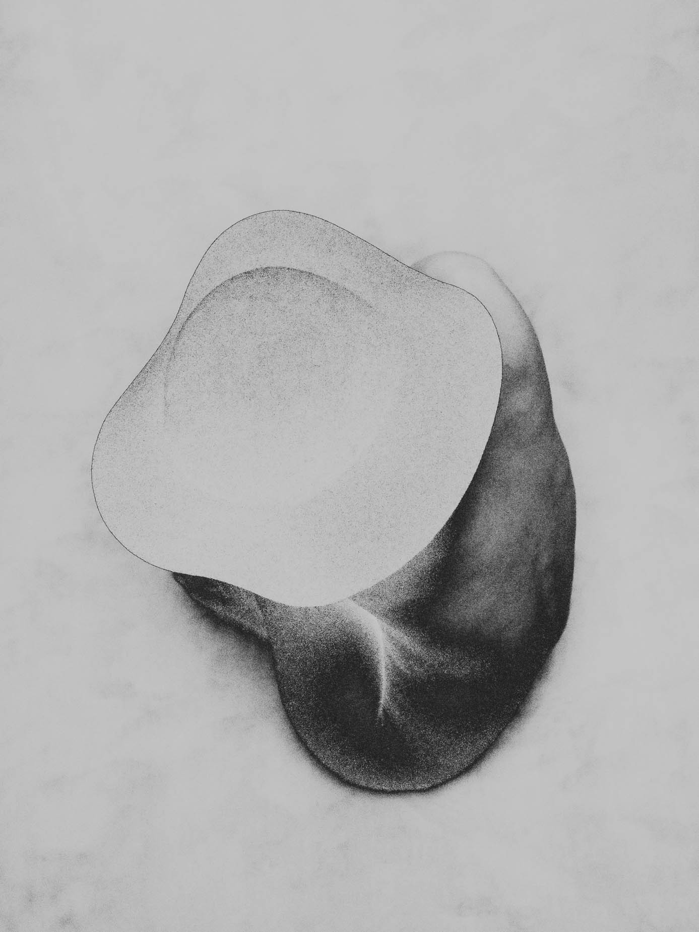 A close abstract study of a torso curve, dark shadow meeting pale skin along a soft diagonal line, heavy film grain throughout
